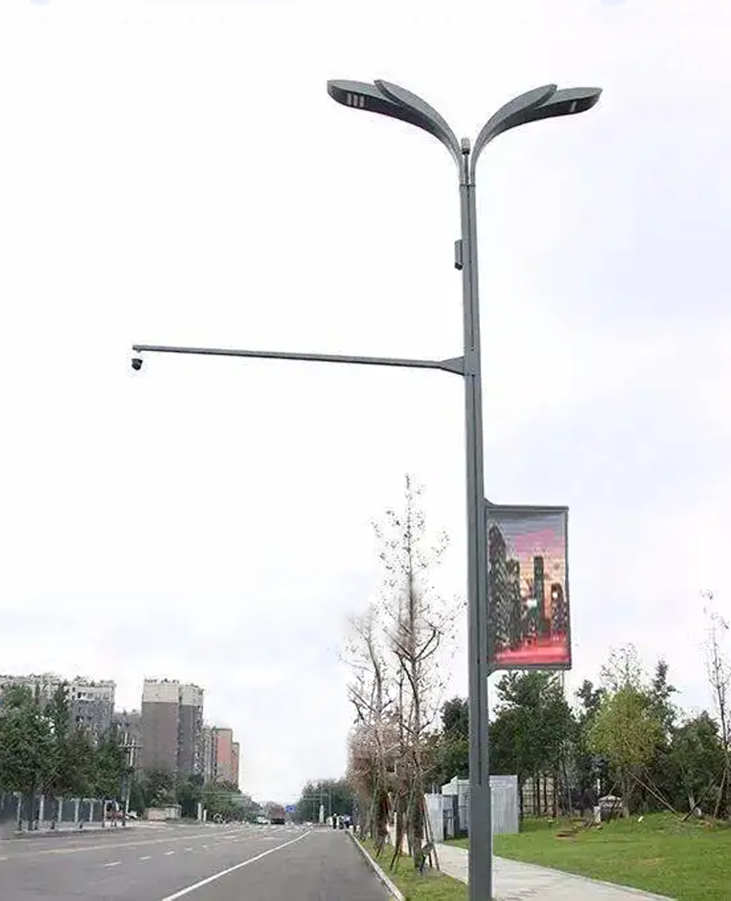 50.jpg