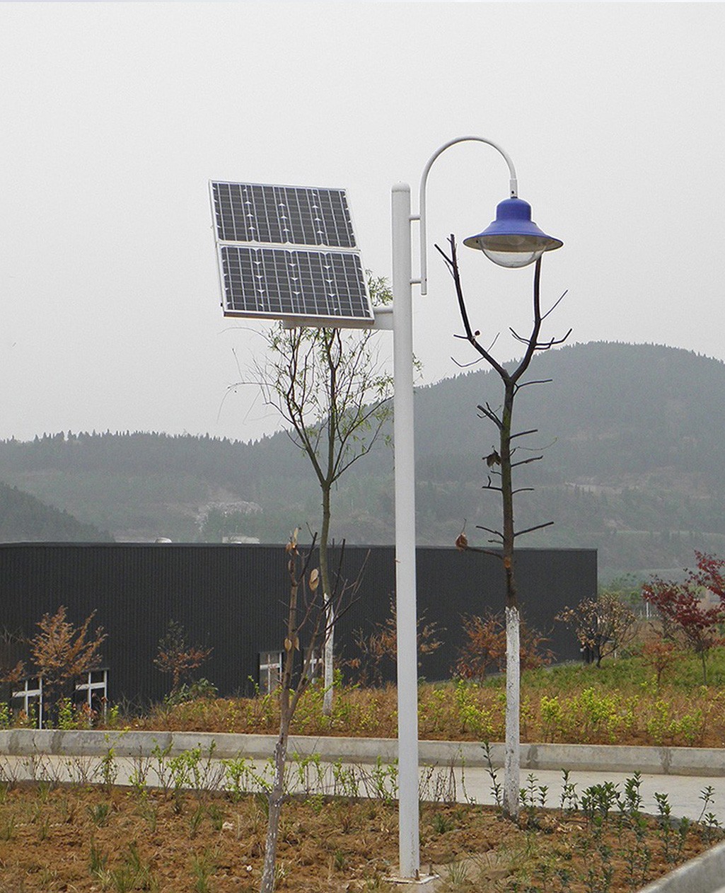 绵阳天路科技园太阳能庭院灯成功案例